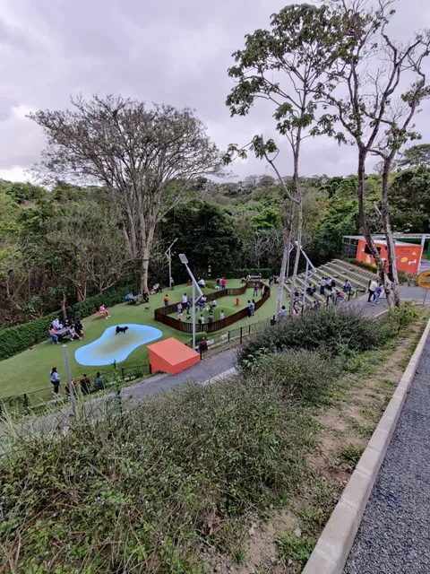 Súper Perro Park