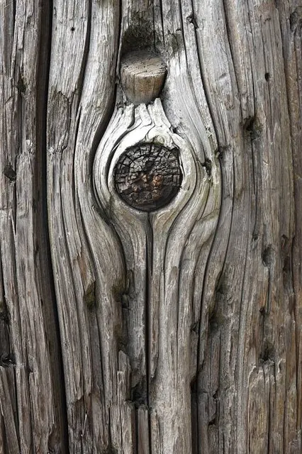 Jever-Aussichtsplattform