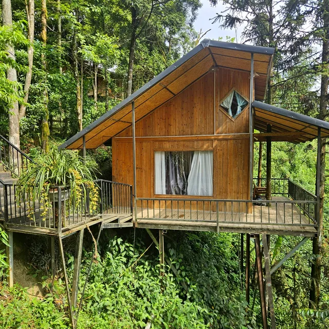 Sapa Jungle Homestay