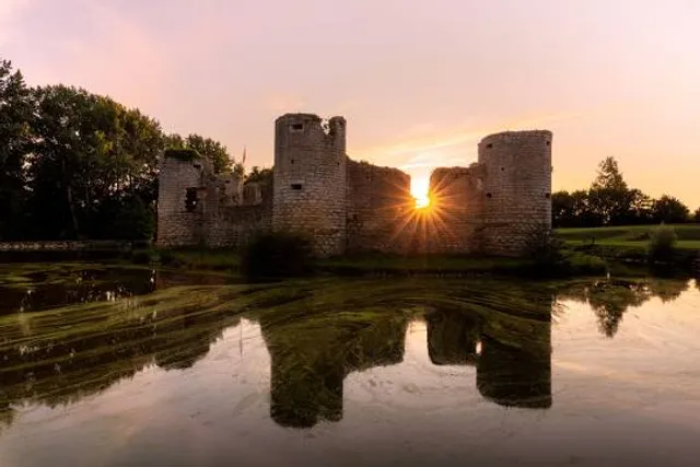 Château de Commequiers