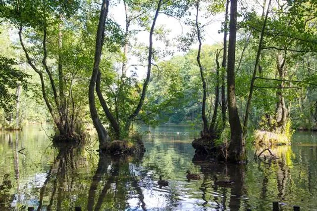 Tomaszów Mazowiecki