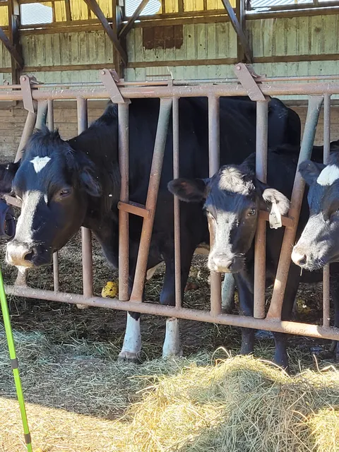 Blue Slope Country Museum