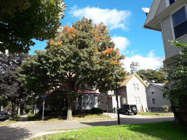 photo-3