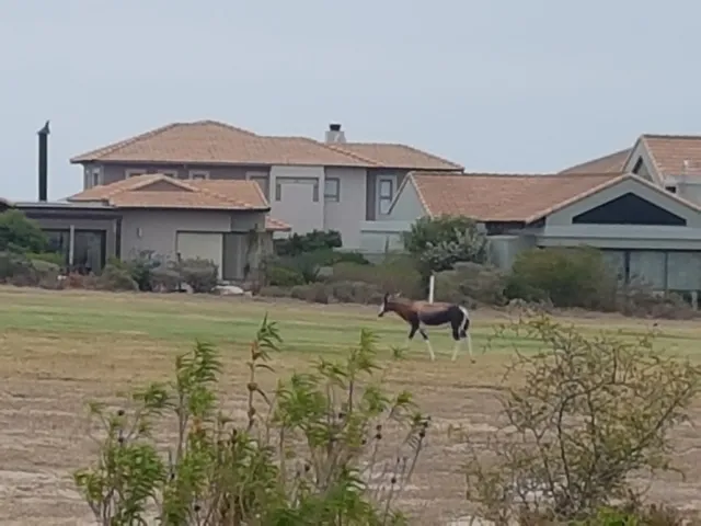 Birdies Golf Holiday home