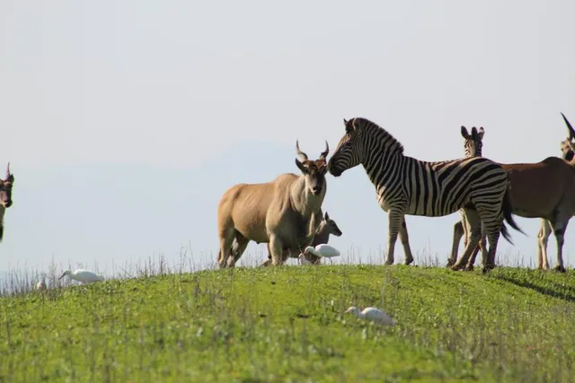 Clara Anna Fontein Game Reserve