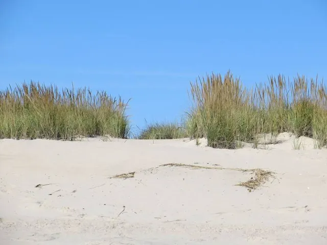 Shinnecock East County Park