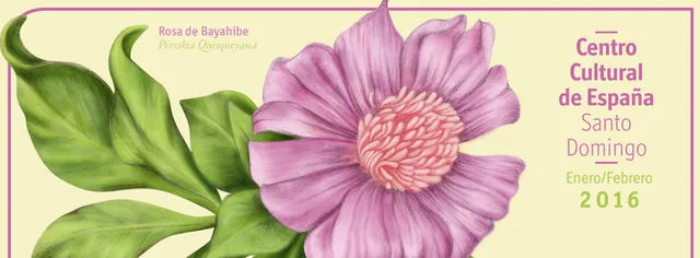 Spain Cultural Center of Santo Domingo