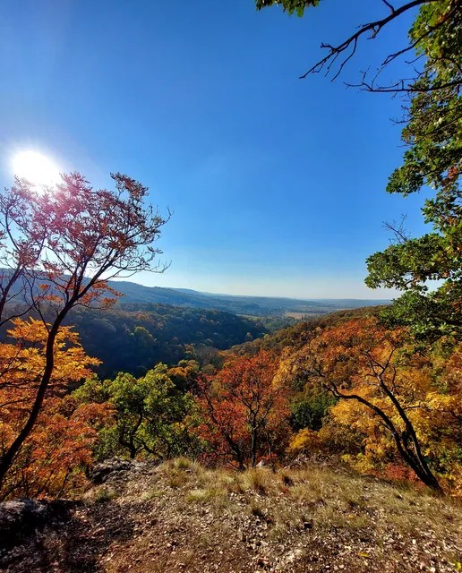 Gaja Valley tájcentrum