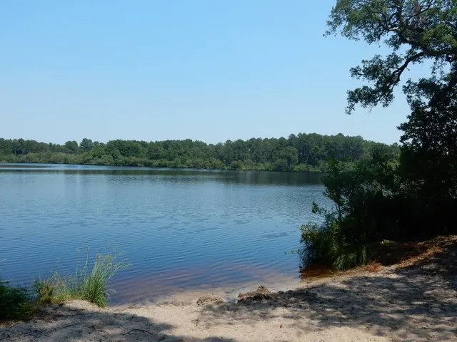 Etang de Moliets