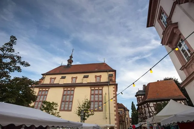 Christian Schad Museum / Museums of Aschaffenburg