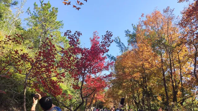 Tai Lam Country Park