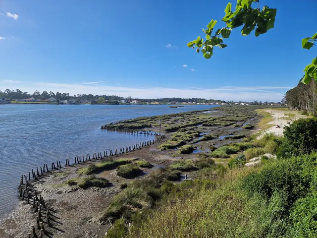 Parque de Merendas da Murteira - Vista Alegre