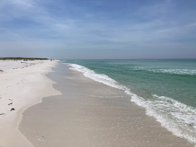 St Andrews Shell Island Adventures