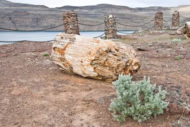 Wanapum Recreation Area