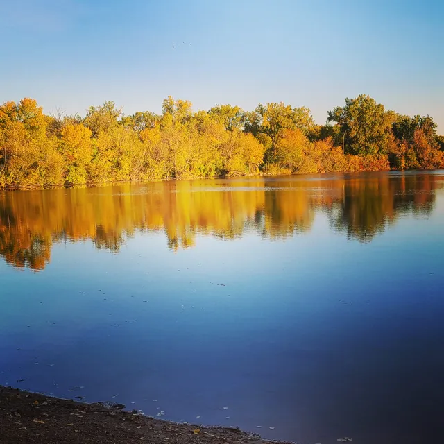 Lester Milligan Park