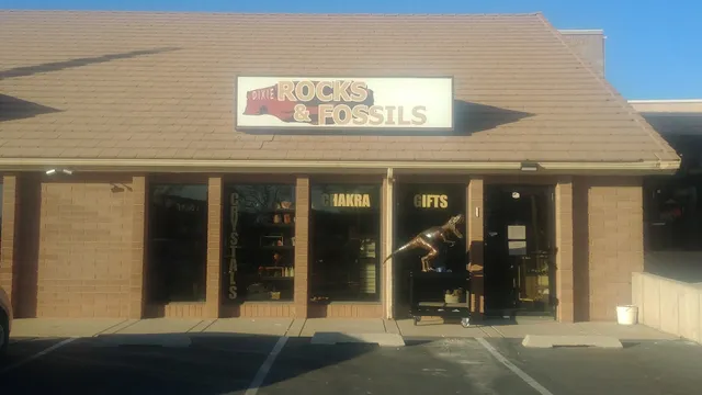 Dixie Rocks and Fossils