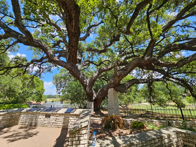 Founders Oak
