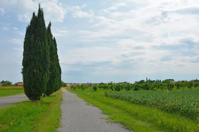 place image