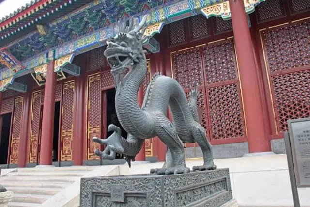 Iron Dragon at Cedar Point