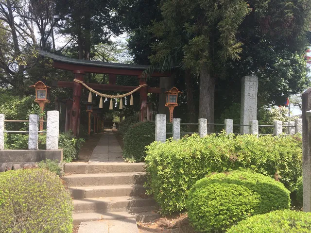 photo-1