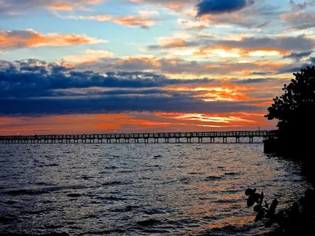 Bayshore Live Oak Park