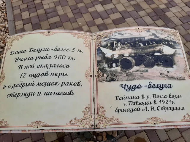 городское поселение Тетюши