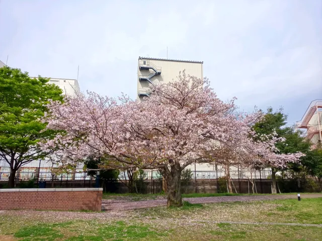 Hyogoeki Minami Park