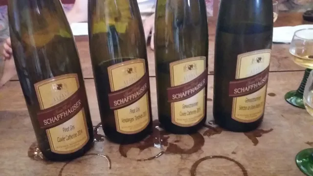 Schaffhauser Jean-Paul