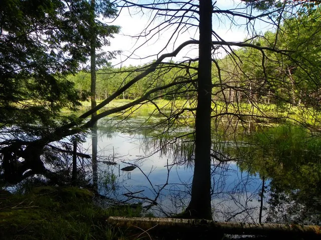 Dyken Pond