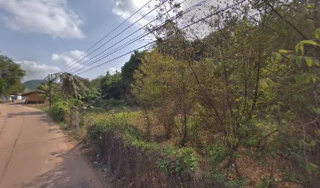 Bacchus Campbar แบคคัส แคมป์บาร์