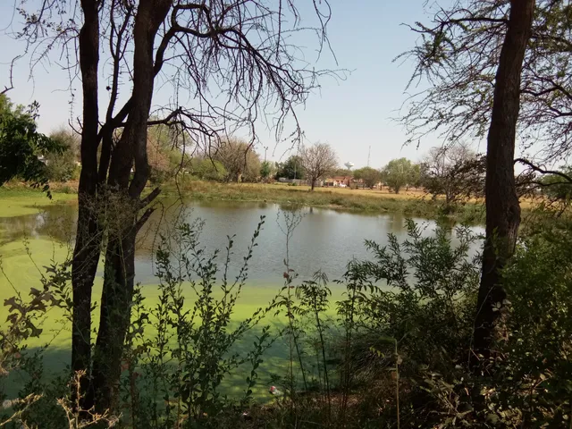 Tsholofelo Park / Park 27
