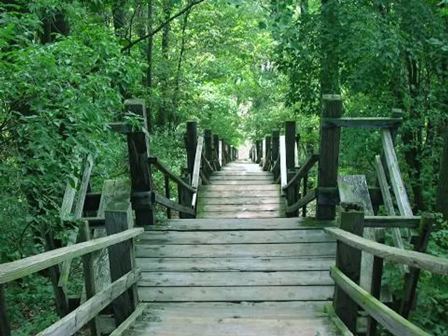 photo-1