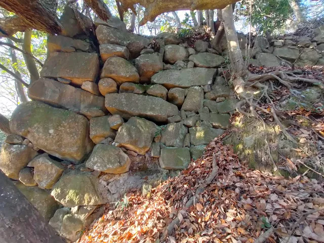 Sasohiyoshi-jo Castle Ruins