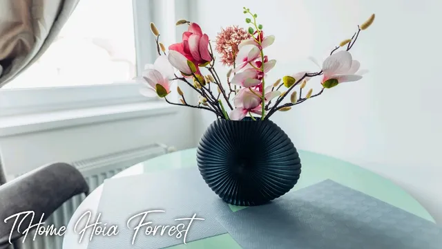 Thome Hoia Forest Studio