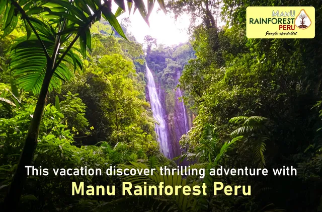 Manu Rainforest Perú