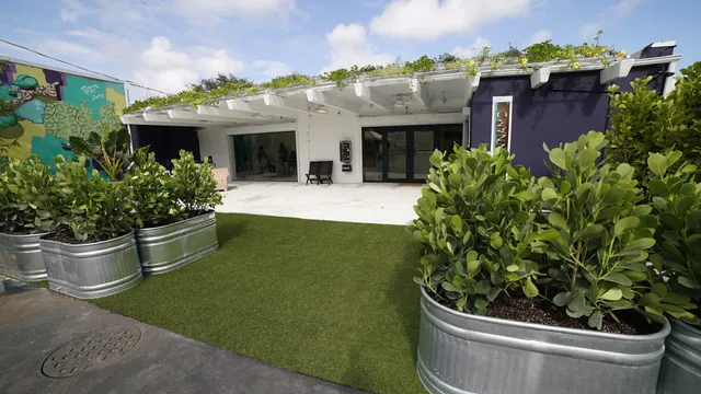 N'Namdi Contemporary Fine Art