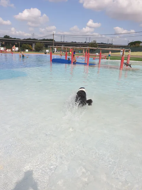 Hotel canino Can Jané