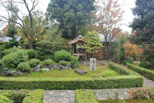 photo-1