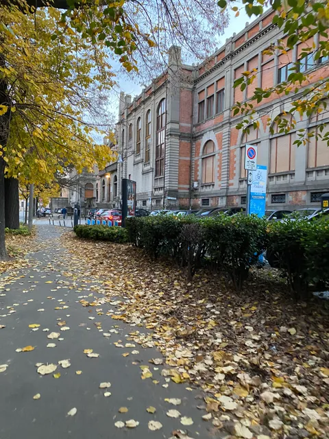 Museum of Pathology, University of Padua
