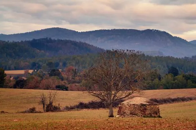Sant Joan de Vilatorrada