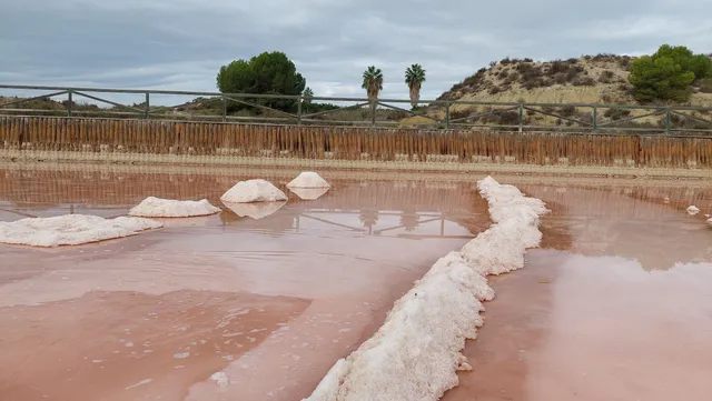 Salinas de Rambla Salada