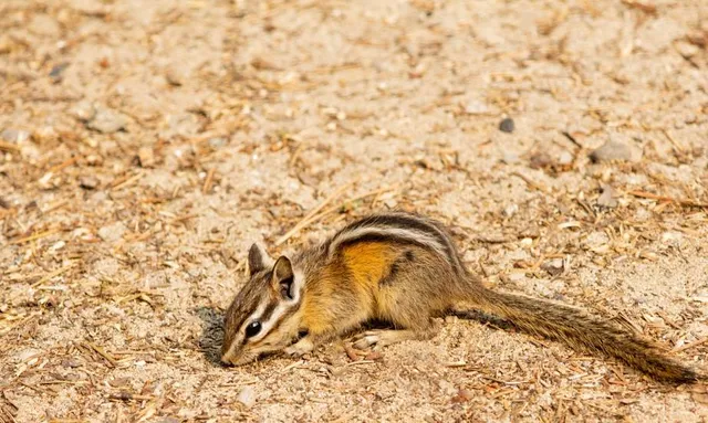 Kettle River Recreation Area