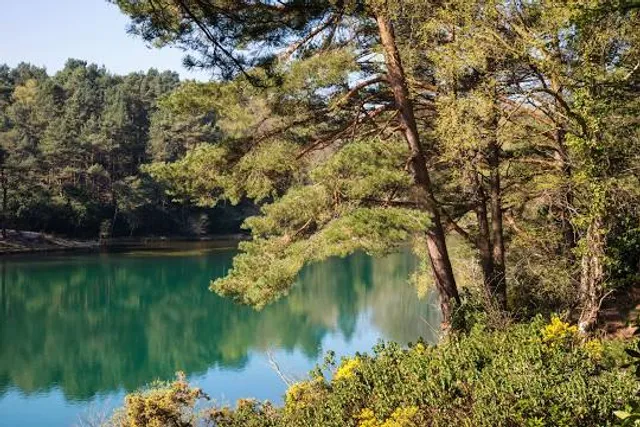 Clay Pit Ponds State Park