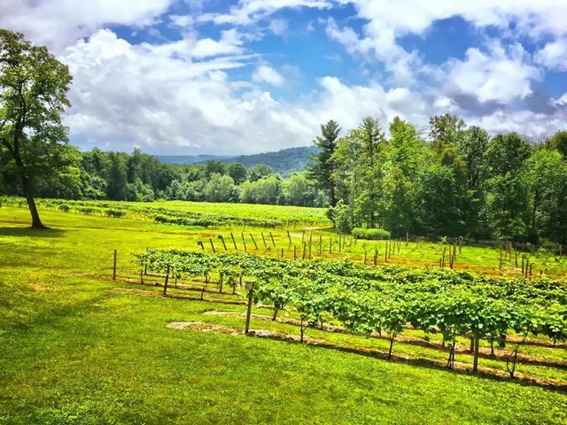 French Ridge Vineyards