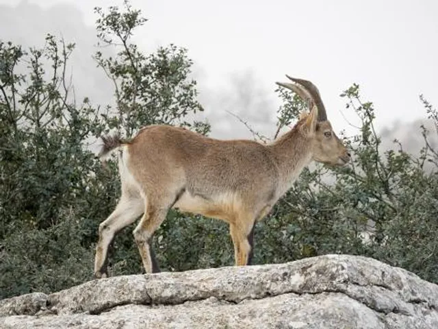 San Secondo di Pinerolo