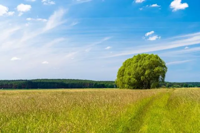 Nuthe-Nieplitz-Niederung