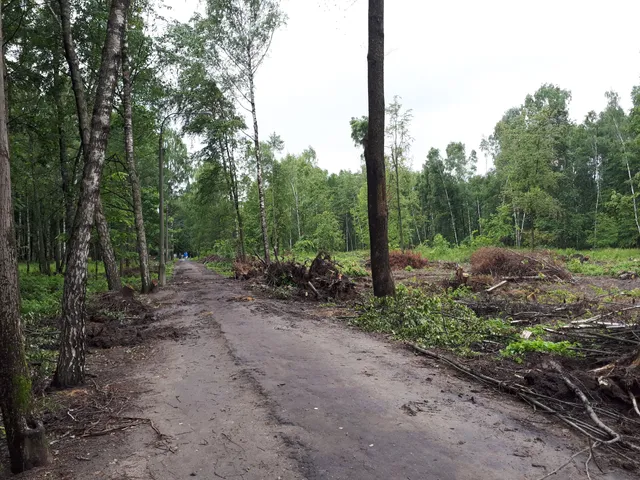 Gorodskoy Park Kul'tury I Otdykha