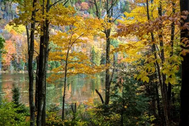 Alfred Kelly Nature Reserve