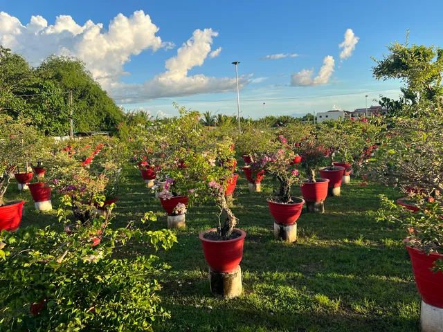 BOUNTIFUL FLOWER GARDEN