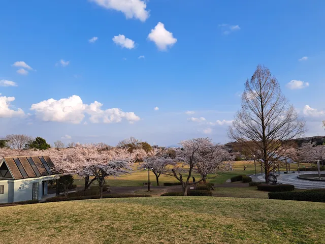 Toyosatodai Central Park